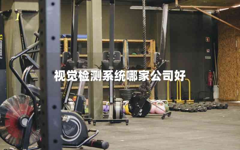 視覺檢測(cè)系統(tǒng)哪家公司好