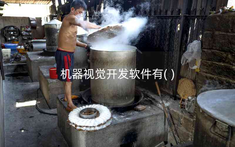 機器視覺開發(fā)軟件有( )