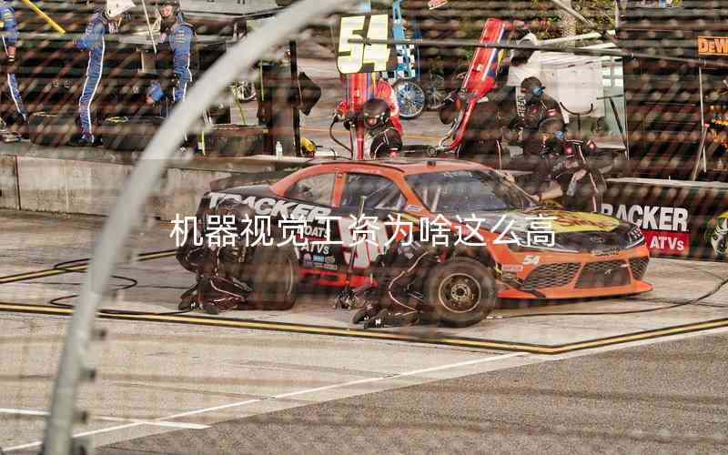 機器視覺工資為啥這么高