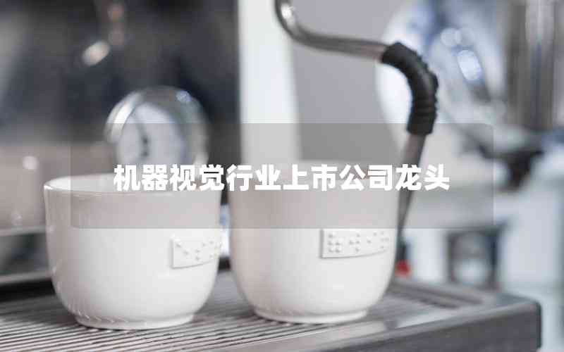 機器視覺行業(yè)上市公司龍頭