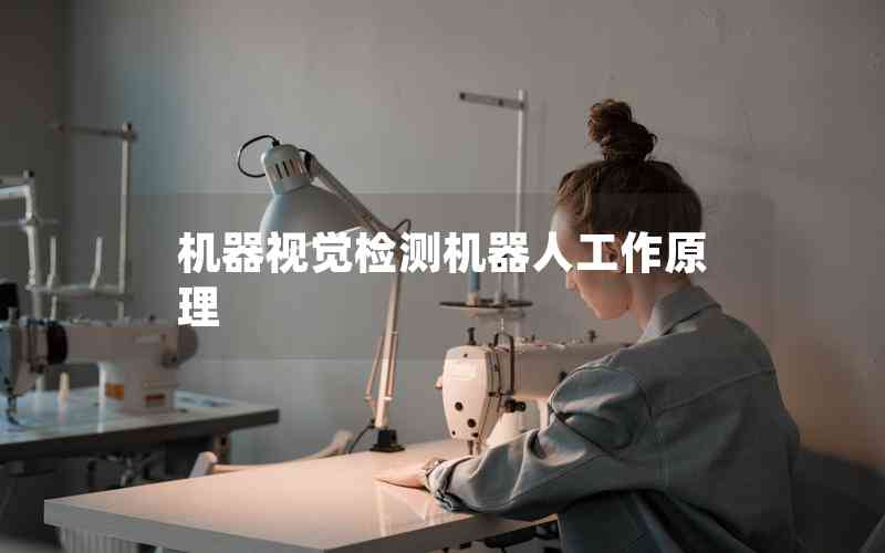 機(jī)器視覺檢測(cè)機(jī)器人工作原理