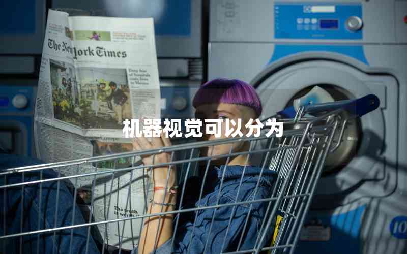 機器視覺可以分為