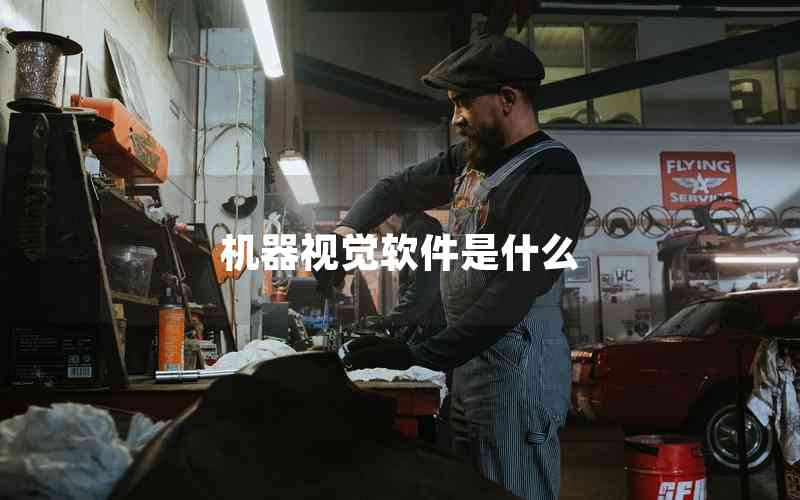 機器視覺軟件是什么