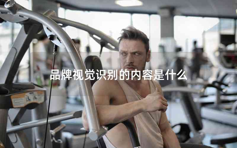 品牌視覺識別的內容是什么