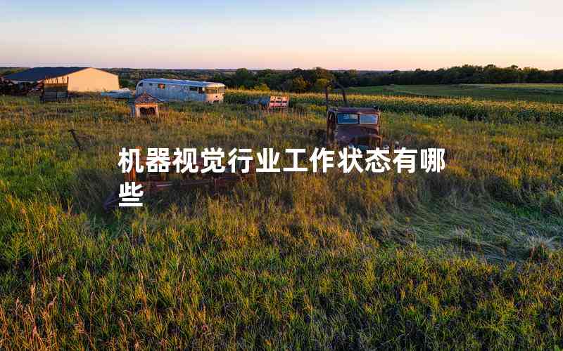 機(jī)器視覺行業(yè)工作狀態(tài)有哪些