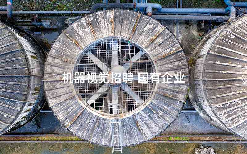 機器視覺招聘 國有企業(yè)
