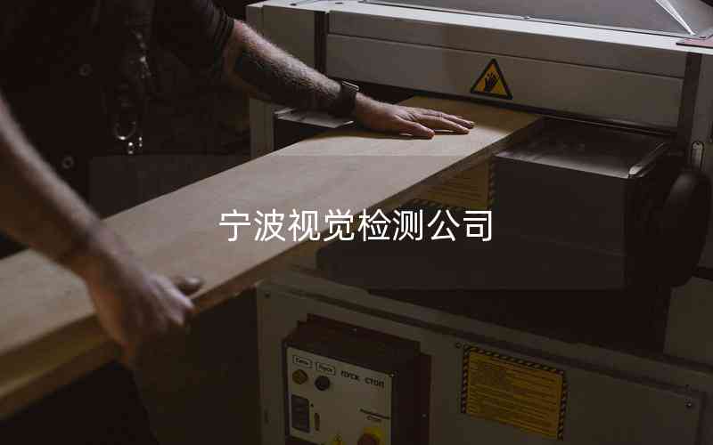 寧波視覺檢測公司