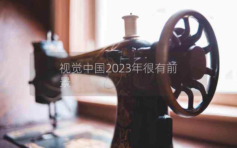 視覺(jué)中國(guó)2023年很有前景