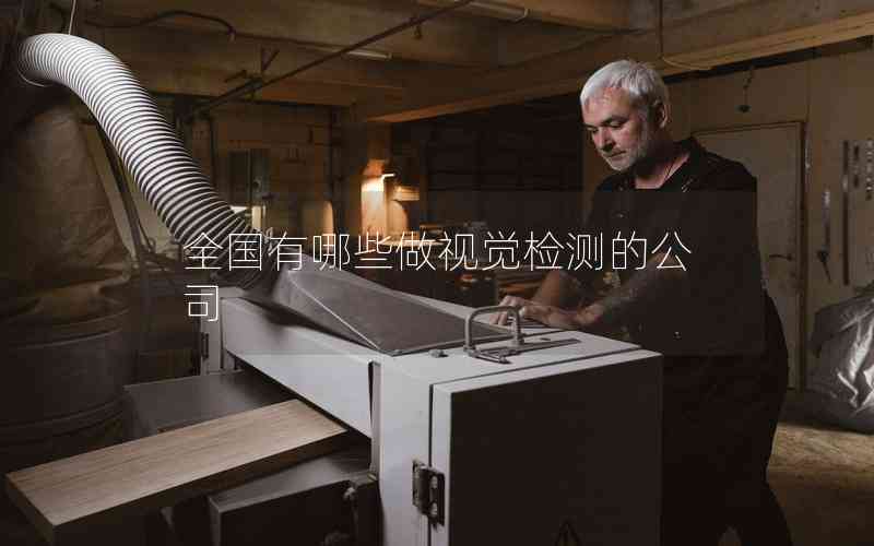 全國有哪些做視覺檢測的公司