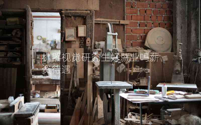 機器視覺研究生好就業(yè)嗎薪資待遇