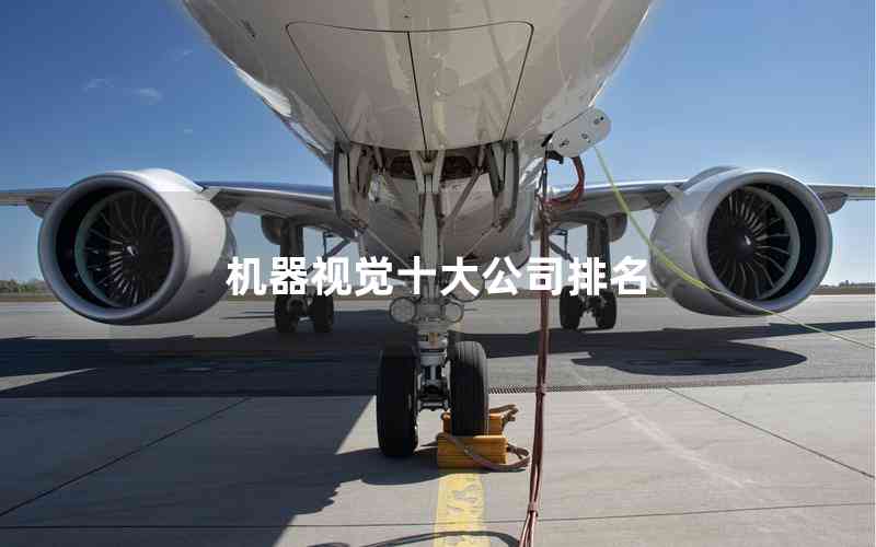 機(jī)器視覺十大公司排名