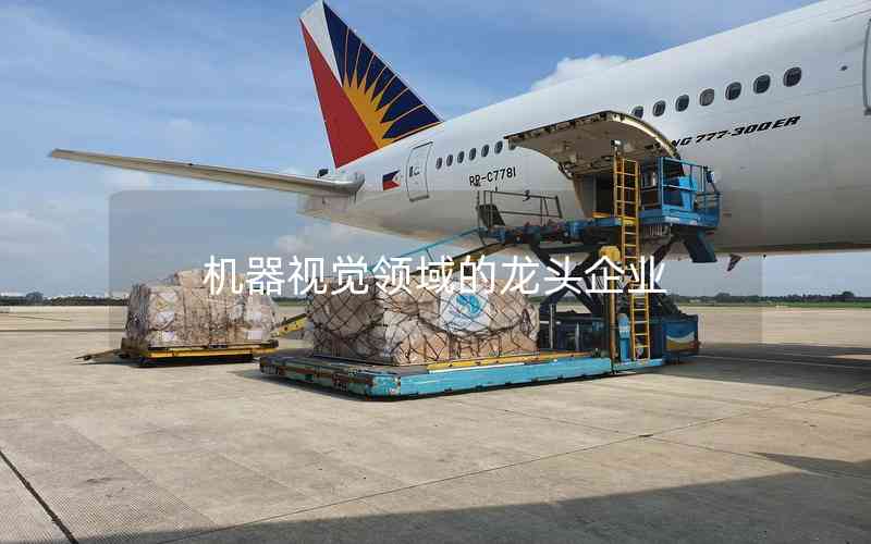 機器視覺領(lǐng)域的龍頭企業(yè)