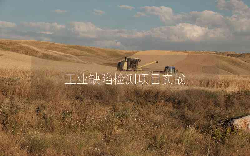 工業(yè)缺陷檢測(cè)項(xiàng)目實(shí)戰(zhàn)
