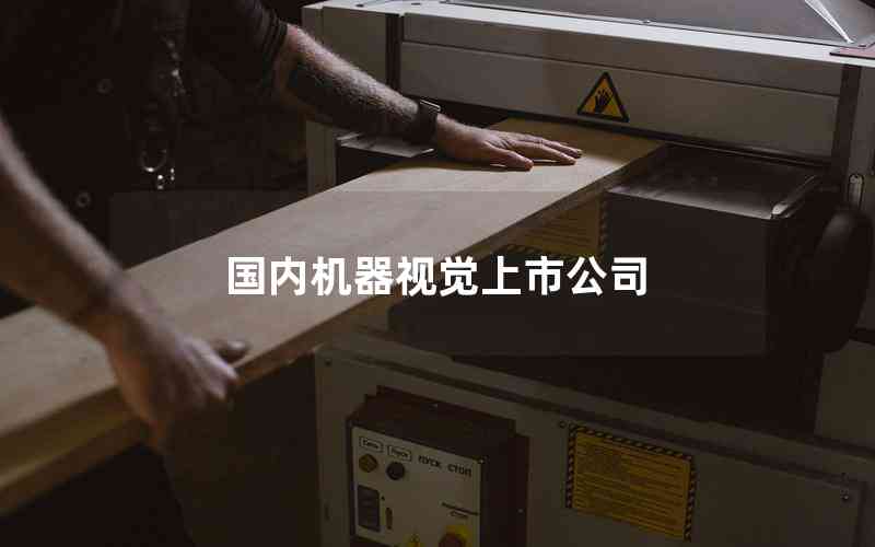國內(nèi)機器視覺上市公司