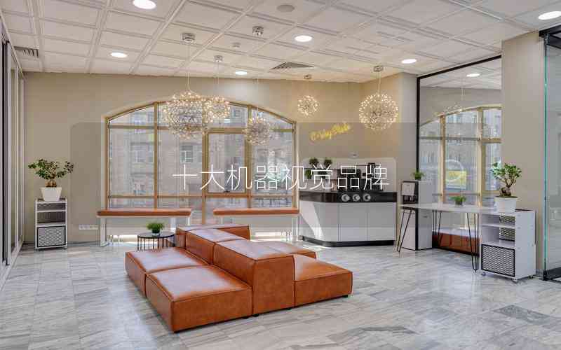 十大機(jī)器視覺品牌