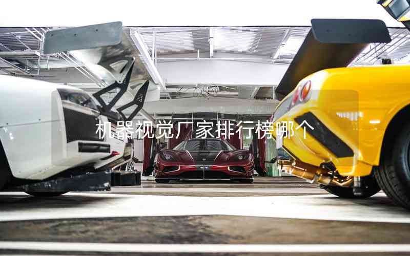 機(jī)器視覺廠家排行榜哪個(gè)