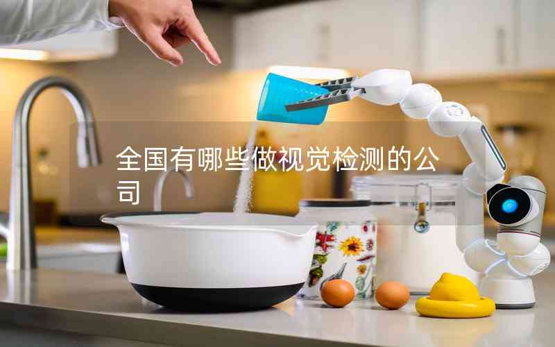 全國有哪些做視覺檢測的公司