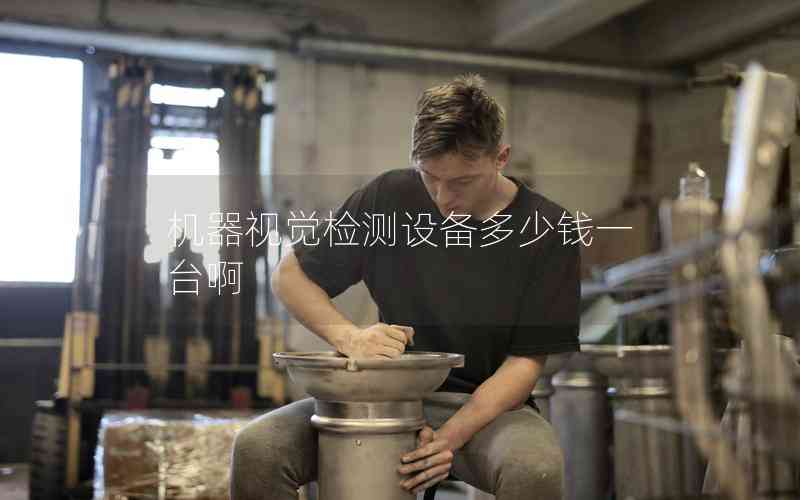 機器視覺檢測設(shè)備多少錢一臺啊