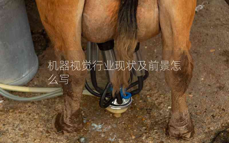 機(jī)器視覺行業(yè)現(xiàn)狀及前景怎么寫
