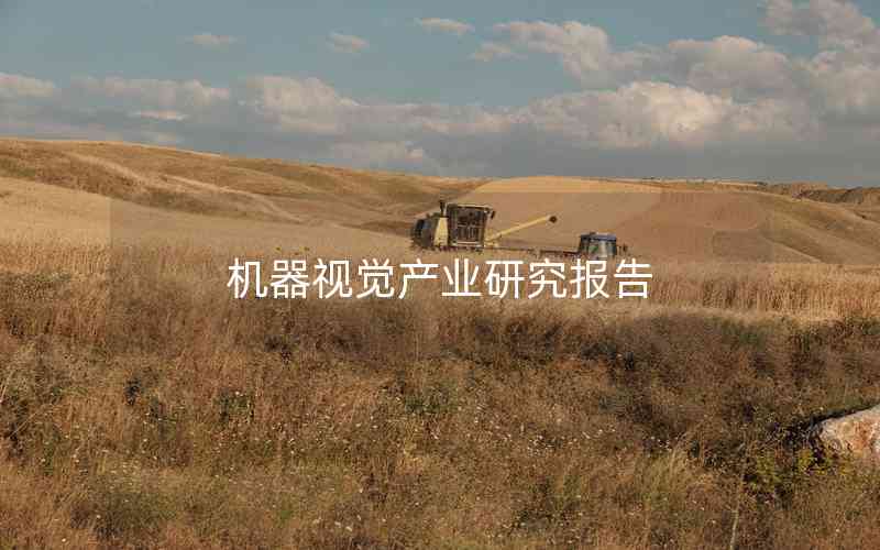 機(jī)器視覺產(chǎn)業(yè)研究報告