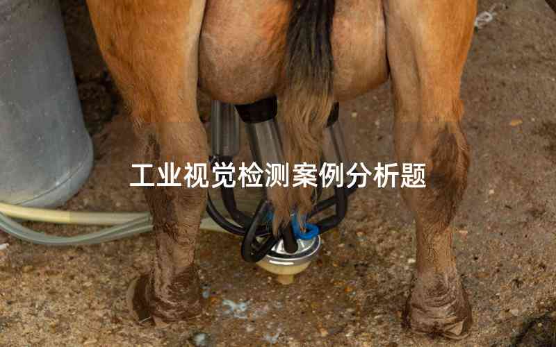 工業(yè)視覺檢測(cè)案例分析題