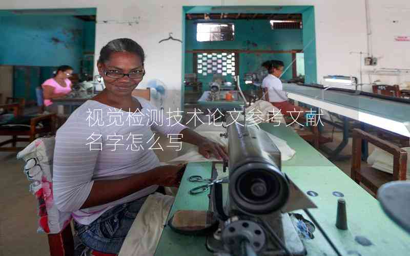 視覺檢測技術(shù)論文參考文獻名字怎么寫
