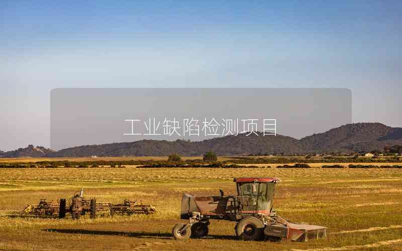 工業(yè)缺陷檢測項(xiàng)目