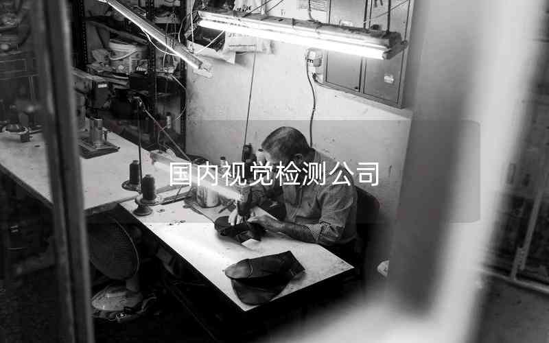 國內(nèi)視覺檢測公司