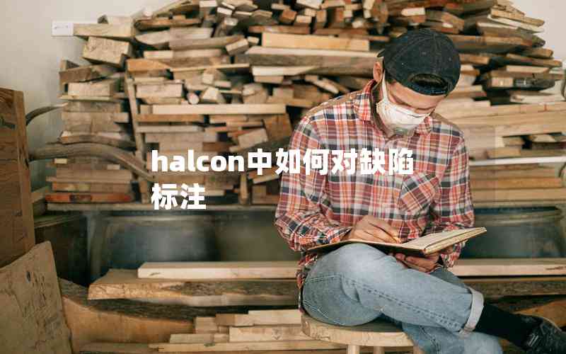halcon中如何對缺陷標(biāo)注