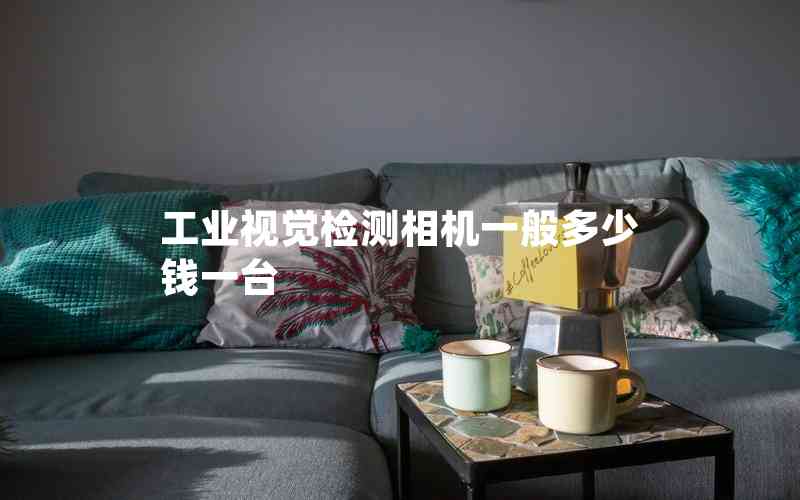 工業(yè)視覺檢測相機一般多少錢一臺