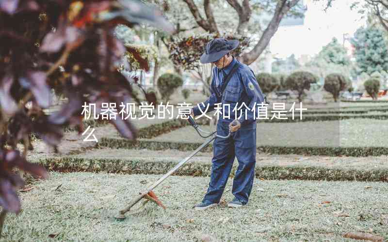 機(jī)器視覺的意義和價(jià)值是什么