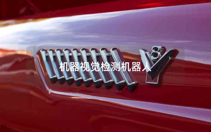 機(jī)器視覺檢測(cè)機(jī)器人