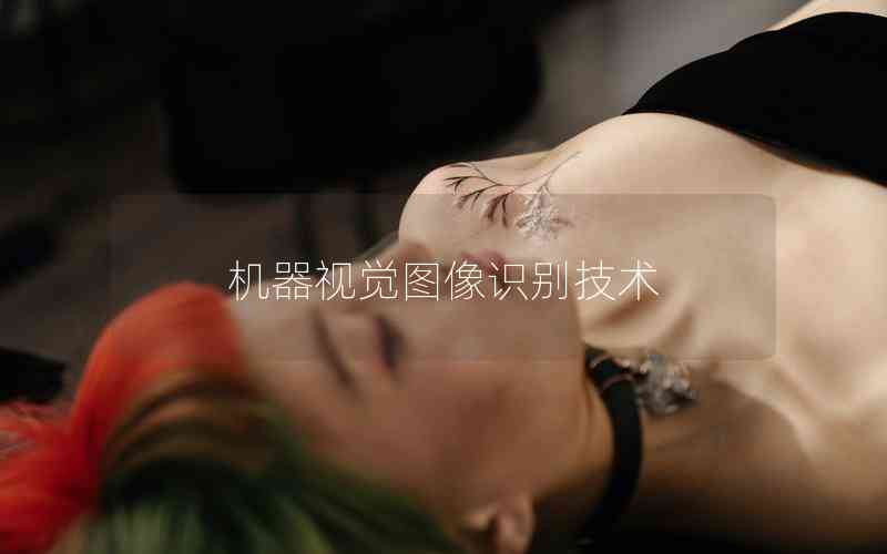 機(jī)器視覺圖像識(shí)別技術(shù)