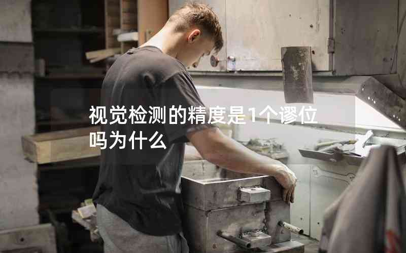 視覺(jué)檢測(cè)的精度是1個(gè)謬位嗎為什么