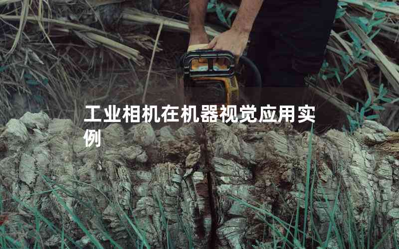 工業(yè)相機(jī)在機(jī)器視覺(jué)應(yīng)用實(shí)例