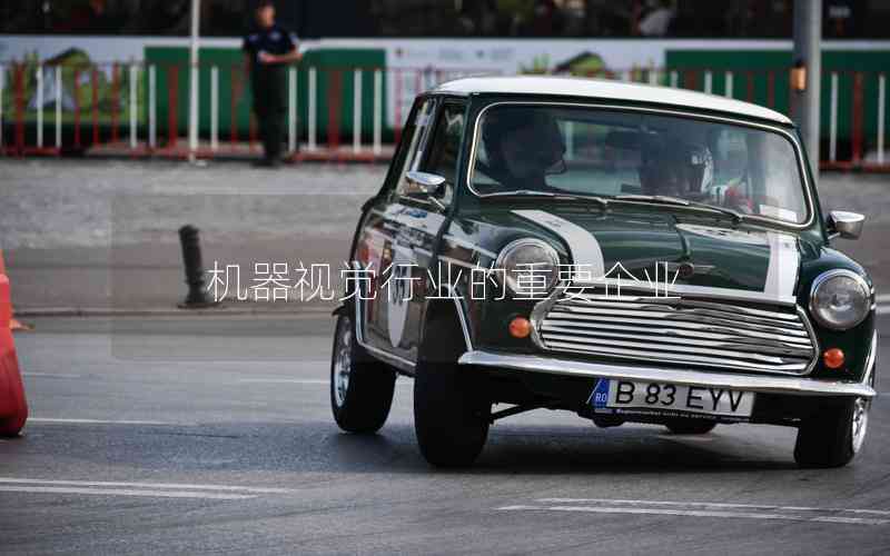 機(jī)器視覺行業(yè)的重要企業(yè)