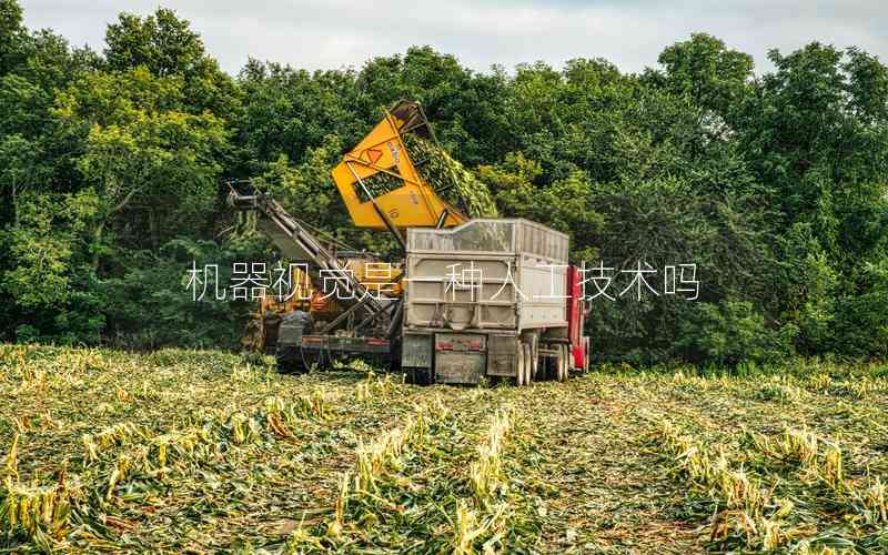 機(jī)器視覺(jué)是一種人工技術(shù)嗎