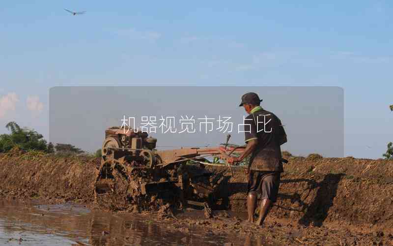 機(jī)器視覺市場(chǎng)占比