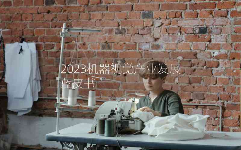 2023機(jī)器視覺(jué)產(chǎn)業(yè)發(fā)展藍(lán)皮書(shū)