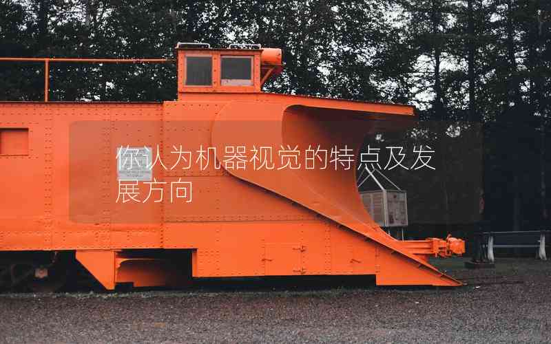 你認(rèn)為機器視覺的特點及發(fā)展方向