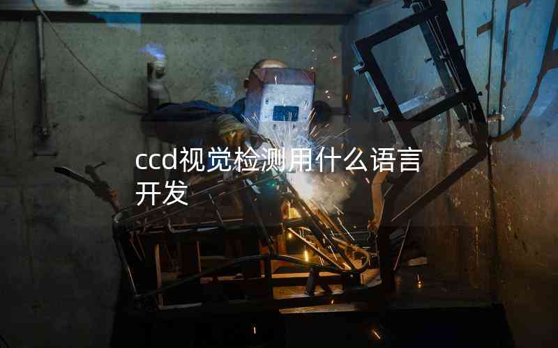 ccd視覺檢測用什么語言開發(fā)