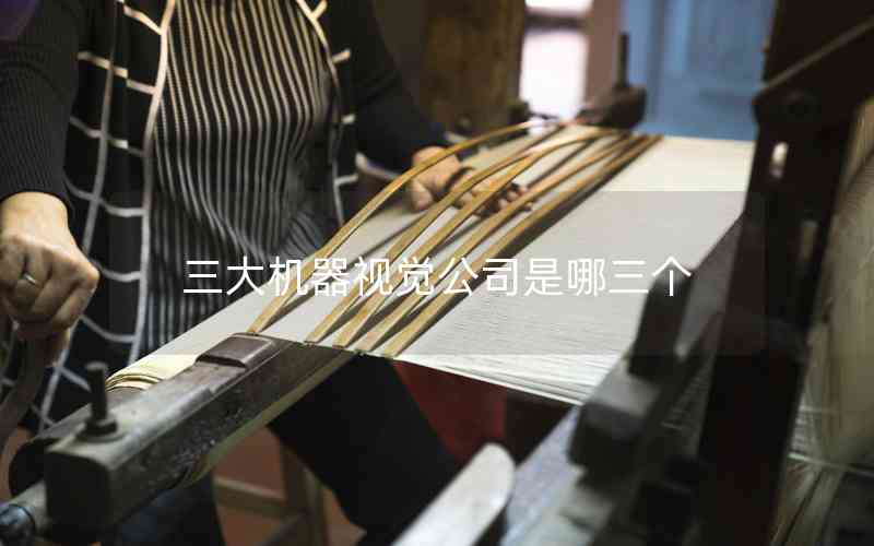 三大機(jī)器視覺公司是哪三個(gè)