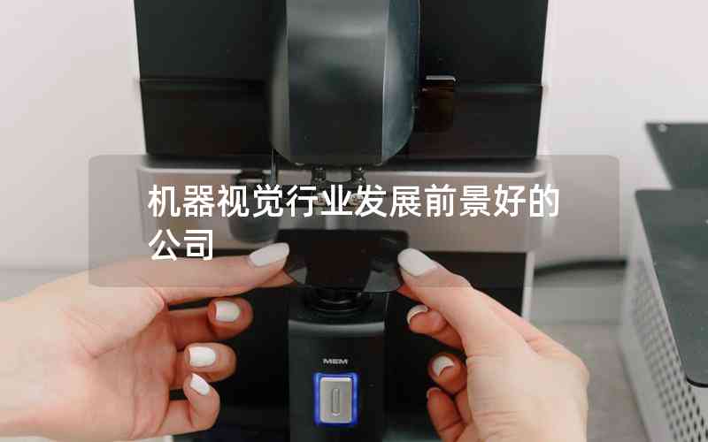 機(jī)器視覺行業(yè)發(fā)展前景好的公司