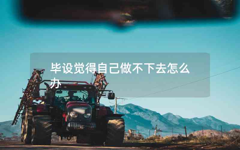 畢設(shè)覺得自己做不下去怎么辦