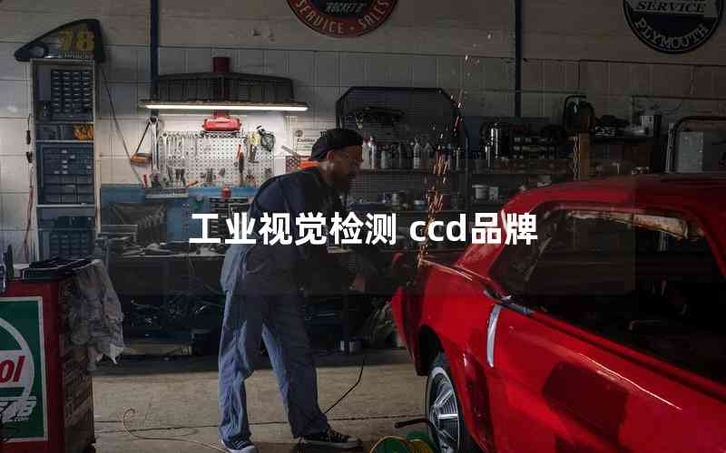 工業(yè)視覺(jué)檢測(cè) ccd品牌