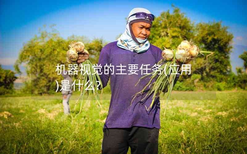 機(jī)器視覺(jué)的主要任務(wù)(應(yīng)用)是什么?