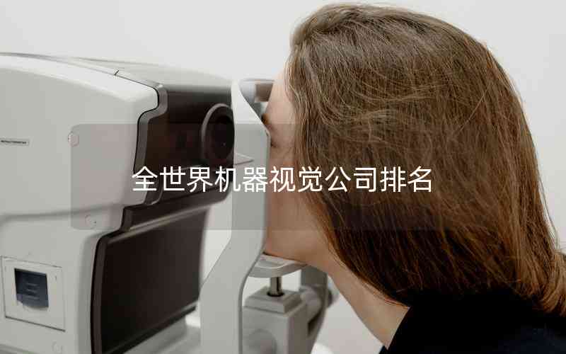全世界機(jī)器視覺公司排名