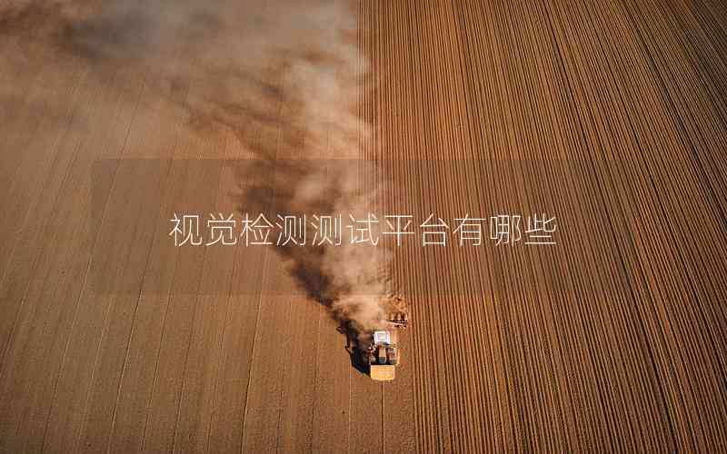 視覺檢測測試平臺(tái)有哪些